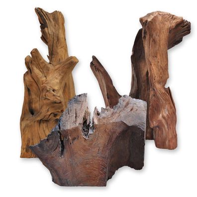 Wurzel Mangrovenwurzel Holz Treibholz für Terrarium Aquarium Zubehör Garten Deko