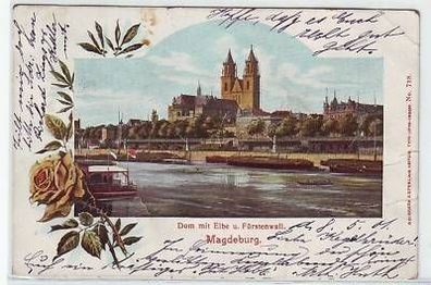 21498 Ak Magdeburg Dom mit Elbe & Fürstenwall 1901