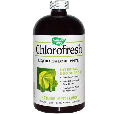 Chlorofresh, Liquid Chlorophyll, Natur Minzgeschmack, 16 Flüssigunzen (473,2 ml)