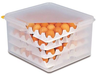 APS Eierbox Eieraufbewahrungsbehälter Eierkiste für 4 Lagen á 30 Eier Gastlando