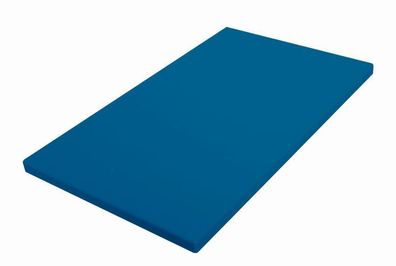 Schneidbrett Schneidebrett EN Blau 600 x 400 x 20 mm für Fisch HACCP neu