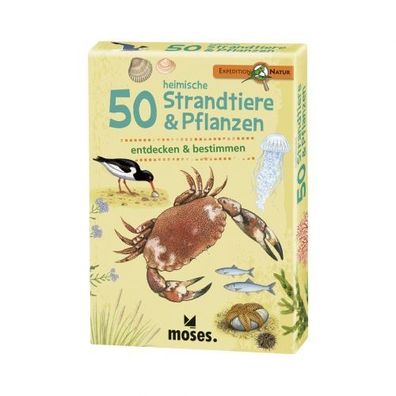 Expedition Natur - 50 heimische Strandtiere & Pflanzen