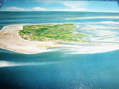2825/ Ansichtskarte-Nordsee Insel Amrum