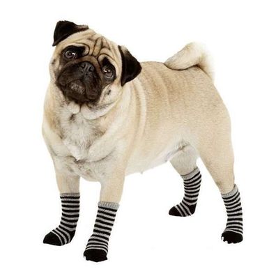 Karlie Doggy Socks Hundesocken 4er Set - Schwarz/ Grau M
