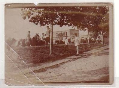 48340 Foto Naumburg Soldaten zu Pferde um 1910