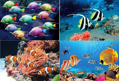3 D Ansichtskarte Fische Fisch Ozean Meer Postkarte Wackelkarte Hologrammkarte Tier