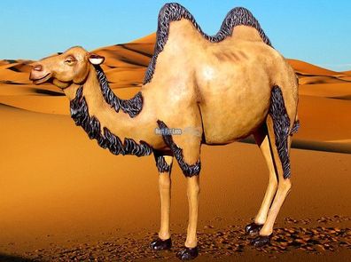 Kamel Figur fast lebensgroß Dekofigur Deko Statue groß lebensecht aufsteller