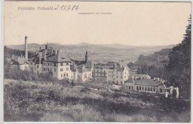 48785 Ak Heilstätte Hohwald Fesamtansicht Fernblick 1907