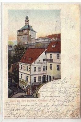 49914 Ak Gruss aus dem Weinschank Blümleim Karlsbad 1904