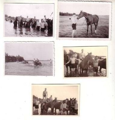 48086/5 Foto Soldaten mit Pferden beim baden 2. Weltkrieg