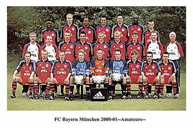 FC Bayern München + +2000-01 Amateure + +Super MK + +