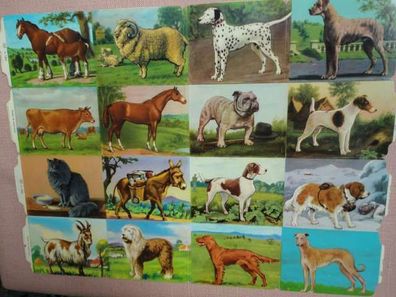 Klein+ Großbogen Mamelok England mlp 1252 Tiere Pferde Kühe Esel Hunde