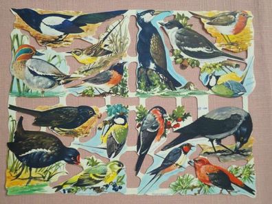 Mamelok England Glanzbilder Scraps Diecut mlp 1507 + 1508 Vögel mit Beschriftung