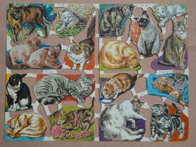 122 Katzen Doppe l # GLANZBILDER # MLP A 121 Bogen  Goldene Serie süß & RAR 