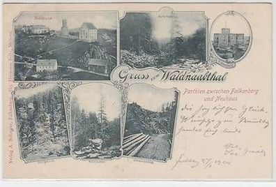 52081 Mehrbild Ak Gruß aus Waldnaabthal 1900