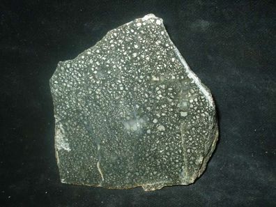 Pyritin Quarz ("Goldquarz") Anschliff -Mineralien-Edelsteine-Heilsteine-Anschliffe-