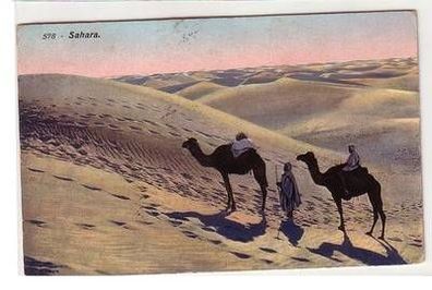 51972 Ak Sahara Kamelkarawane in der Wüste 1911