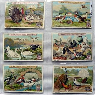Liebigbilder Serie 427 Geflügelarten, komplett 1899 (5/6764)