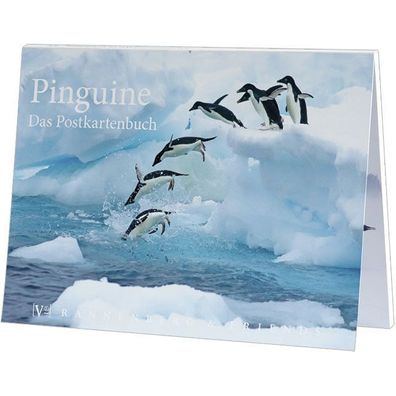 Postkartenbuch Pinguine Postkartenbücher Ansichtskarte Postkarte, Pinguin