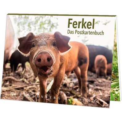Postkartenbuch Ferkel Postkartenbücher Ansichtskarte Postkarte, Schweine Tier Tiere
