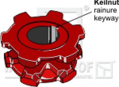 Kettennuss/Umlenkrolle für Kettenteilung 13 X 45 mm Zähne 6 Keilnut 14 mm passen