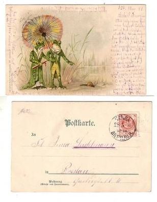 46878 Privatpost "Hansa" Künstler Ak Frösche mit Schirmen 1899