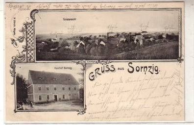 52368 Ak Gruß aus Sornzig Totalansicht und Gasthof 1904