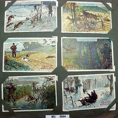 Palminbilder Serie "Jagdmotive" komplett um 1900 (100953)