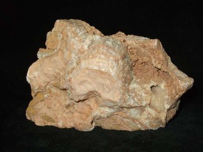 Aragonit auf Kalkstein (Trusetal, Thüringen) Rohstein -Mineralien-Heilsteine-Rohsteine
