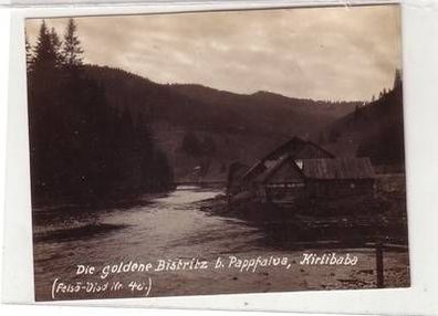 52752 Foto Felsöviso "Die goldene Bistritz bei Pappfalva, Kirlibaba" um 1915