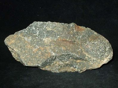 Pyrit in Quarz/ Achat "Goldquarz" (Mexiko) Rohstein -Mineralien-Rohsteine-Erze-
