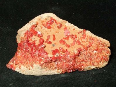 Vanadinit auf Muttergestein Marokko -Mineralien Kristalle Erze Rohsteine-