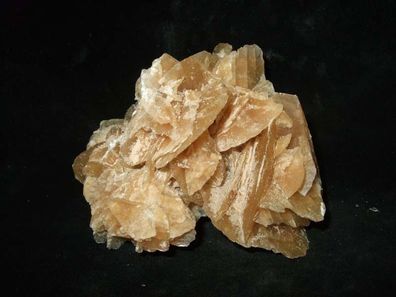 Sandrose, Wüstenrose, Gipsrose, Selenit (Algerien) -Kristalle-Heilsteine-Rohsteine-