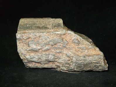 versteinertes Holz Harz Rohstein -Fossilien-Heilsteine-Rohsteine-Versteinerungen-