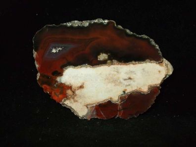 Achat Achatgeode Anschliff Condorachat Argentinien -Mineralien Heilsteine Anschliffe-
