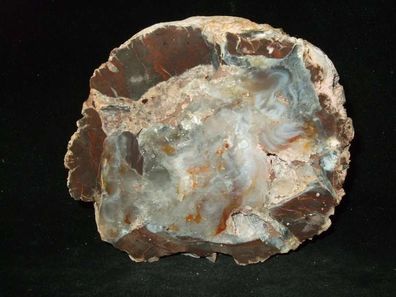 Achat, Chalcedon, Quarz Geode( USA, Oregon ) Anschliff -Mineralien-Anschliffe-Achatgeode