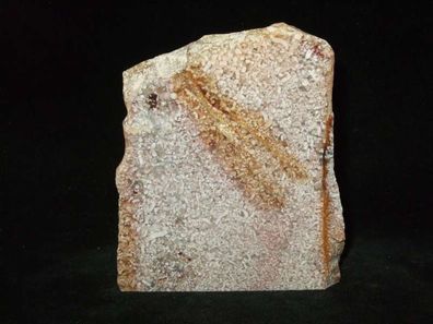 Rosa Moosachat Achat Anschliff Indien -Mineralien Heilsteine Anschliffe-