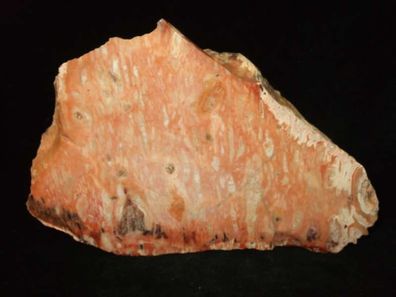 Gemeiner Opal Opalith Anschliff Mexiko -Mineralien Heilsteine Anschliffe-