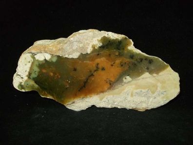 Dendritenopal-Gemeiner Opal(Madagaskar) Anschliff -Mineralien-Heilsteine-Edelsteine-