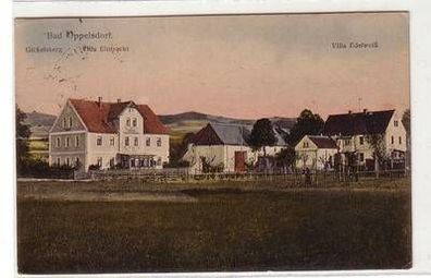 54293 Ak Bad Oppelsdorf Gickelsberg, Villa Eintracht, Villa Edelweiß 1925