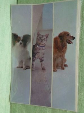 Ordner Rücken Stickerbogen Hund & Katze / Tiere "ein Rücken" ca 30,5 x 6,5 cm