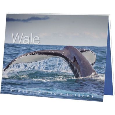 Postkartenbuch Wale Postkartenbücher Ansichtskarte Postkarte, Wal