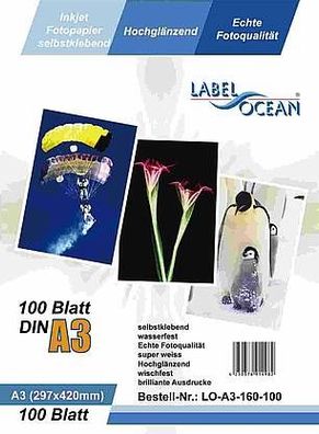 LabelOcean Premium Fotopapier selbstklebend 100 Blatt A3 Highglossy hochglänzend wass