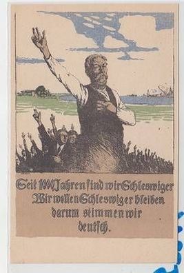 53640 Propaganda Ak Schleswig Erinnerung an die Abstimmung am 14. März 1920
