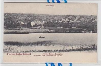 53391 Ak Gruß aus Seebad Rollsdorf Weinberge am süßen See 1910