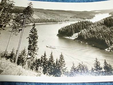 3054 / Am Stausee der Bleiloch-Saaletalsperre-Saaleblick bei Lemnitzhammer