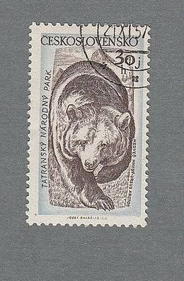 Braunbär (ursus arctos) - CSSR o