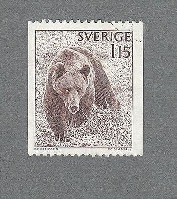 Braunbär (ursus arctos) - Schweden o