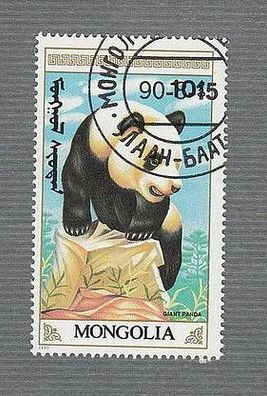 Mongolei Großer Panda (ailuropoda melanoleuca) 1 - o