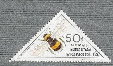 Käfer - Mongolai Insekten - (Bombus Terrestris) - o